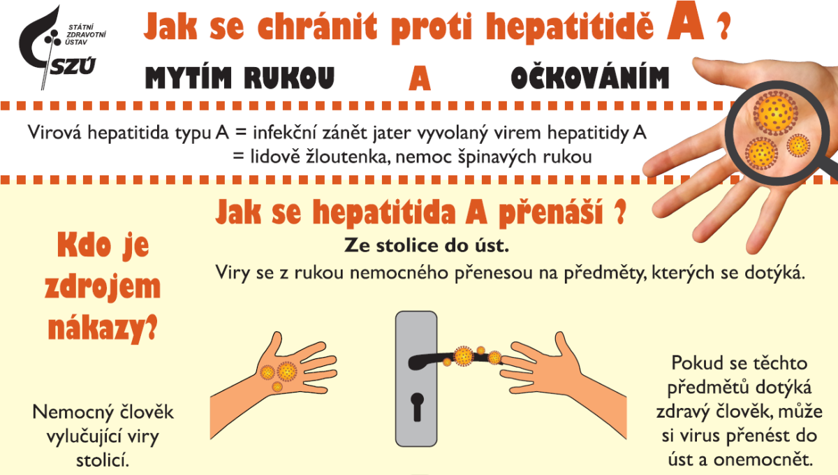 ℹ️ Zvýšený výskyt žloutenky typu A – informace pro rodiče