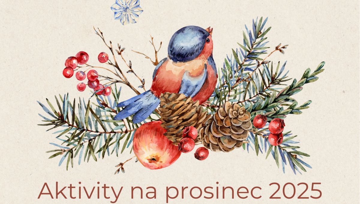 Aktivity na prosinec 2025