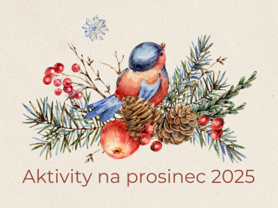Aktivity na prosinec 2025