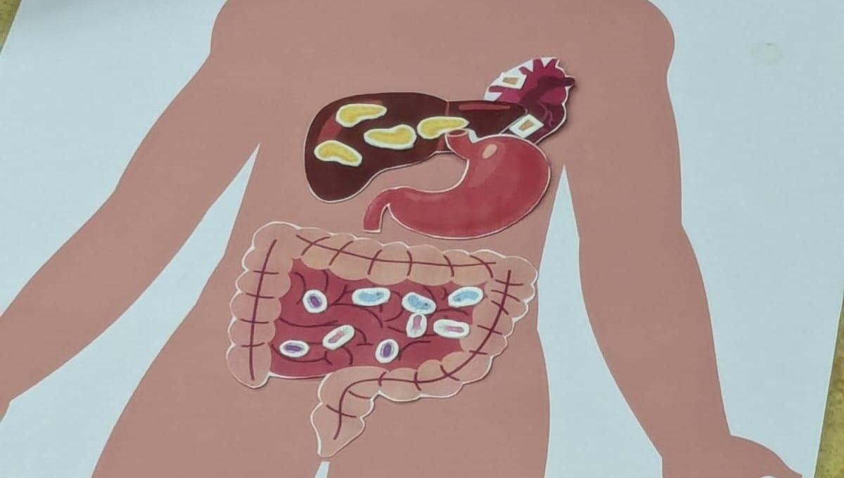 Přednáška - zdravý životní styl 2. třídy