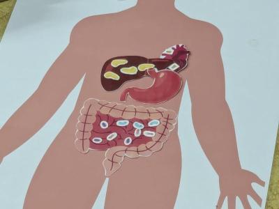 Přednáška - zdravý životní styl 2. třídy